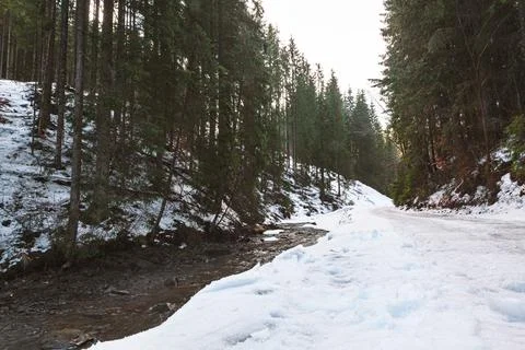 Stream winds through a snowy forest Stock-Fotos