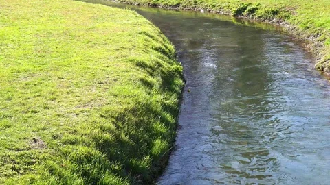 Stream on a windy day Stock-Footage 103473348