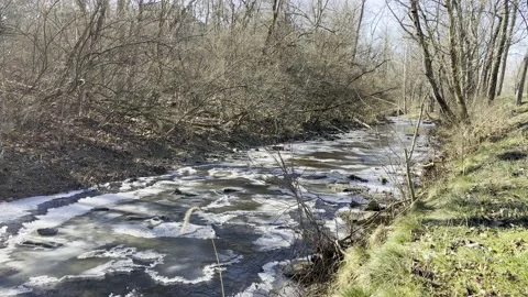 Stream in winter, creek in winter Video stock 169352027
