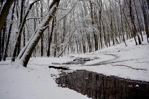 Stream in a winter deciduous forest. Stock Photos