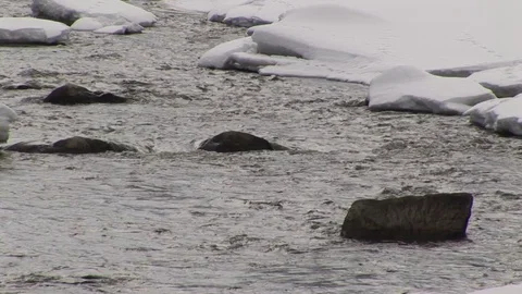 A Stream in Winter 動画素材 72572141