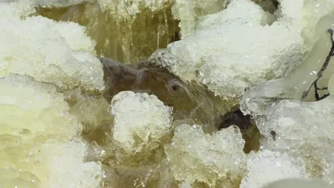 Stream in winter. Stock Footage 194050466