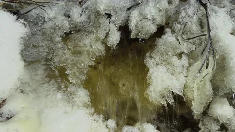 Stream in winter. Stock Footage 194050490