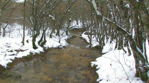 Stream in the winter forest. Stock Footage 27074285
