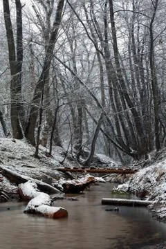 Stream in the winter forest Stock Photos