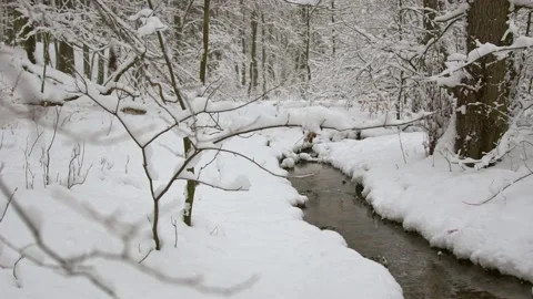 Stream in the winter forest, snowy landscape. Stock Footage 225657404