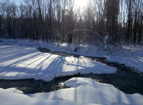 A stream in the winter forest on a Sunny day Stock Photos