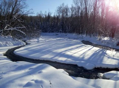 A stream in the winter forest on a Sunny day Stock Photos
