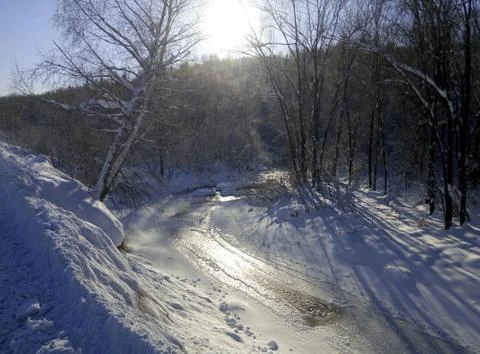 A stream in the winter forest on a Sunny day Stock Photos