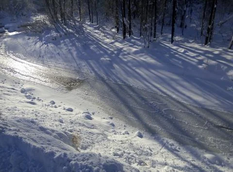 A stream in the winter forest on a Sunny day Stock Photos