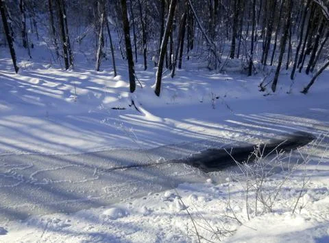 A stream in the winter forest on a Sunny day Stock Photos