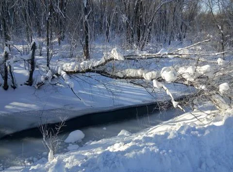 A stream in the winter forest on a Sunny day Stock Photos