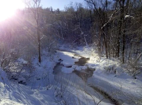 A stream in the winter forest on a Sunny day Stock Photos