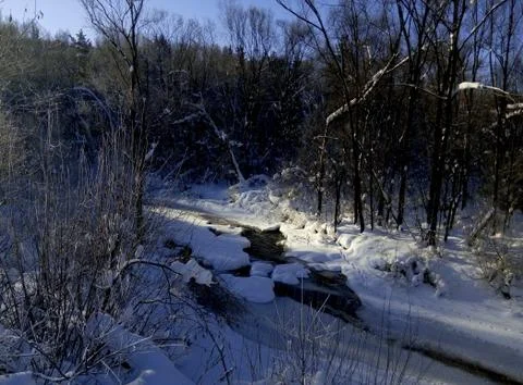 A stream in the winter forest on a Sunny day Stock Photos