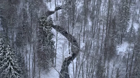 A stream in the winter forest. The view from the air. 動画素材 146331828
