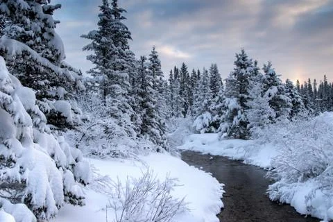 Stream in the winter Stock Photos