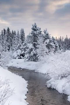 Stream in the winter Stock Photos