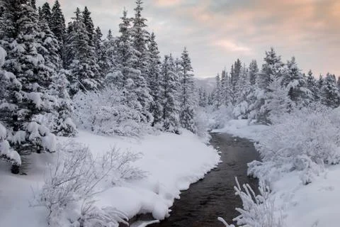 Stream in the winter Stock Photos
