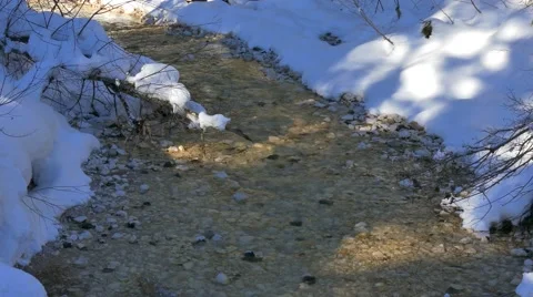 Stream in Winter Scenery Stock Footage 46777781