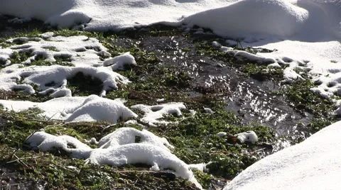 Stream in the Winter season Stock-Footage 46913279