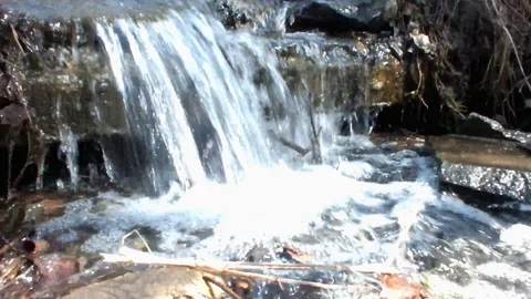Stream in the wood Stock Footage 95076946