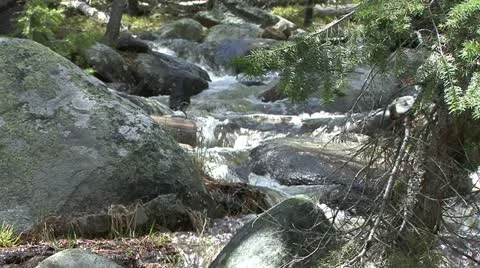 Stream in the woods Stock Footage 12766460