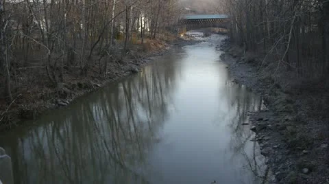 Stream in the Woods Stock Footage 22219415