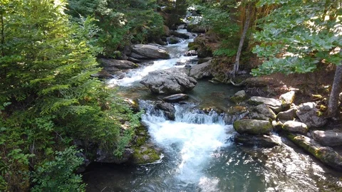 A stream in the woods Stock Footage 125242224