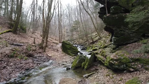 Stream in the woods Video stock 235025766