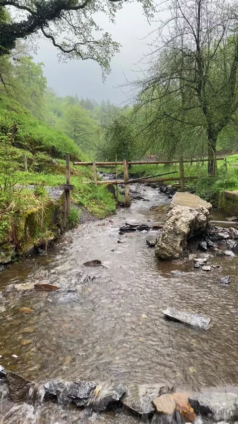 A stream in the woods Stock Footage 309885983