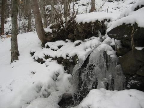 Stream in the woods Foto stock