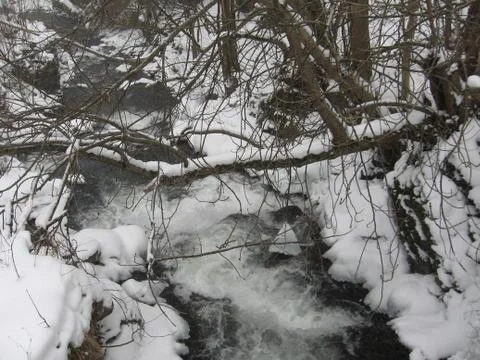 Stream in the woods Stock Photos