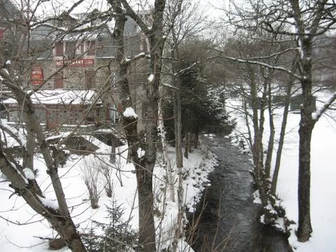 Stream in the woods Stock Photos