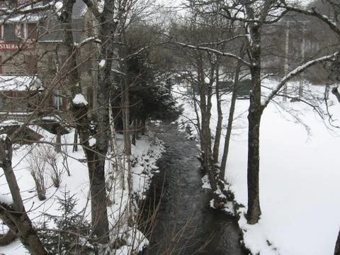 Stream in the woods Stock Photos