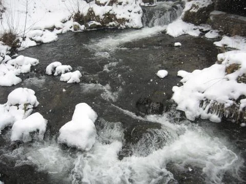 Stream in the woods Stock Photos