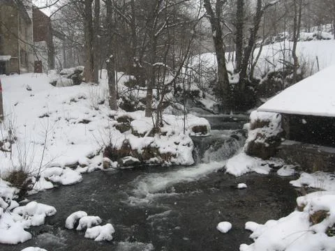 Stream in the woods Stock Photos