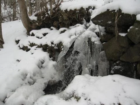 Stream in the woods Stock Photos