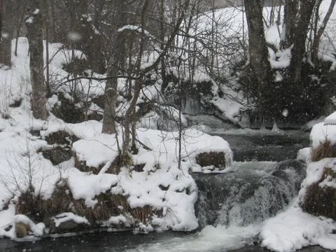 Stream in the woods Stock Photos