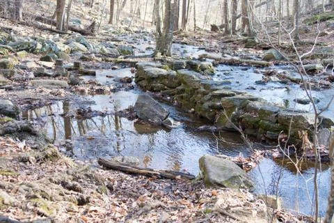 Stream in the woods with rocks Stock Photos