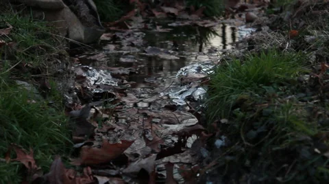 A stream in the woods Terrence Malick style Stockbeeldmateriaal 45612431