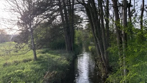 Stream in the woods in the UK Stock-Footage 333230209