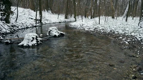 A  stream in the woods at winter Stock Footage 87446623