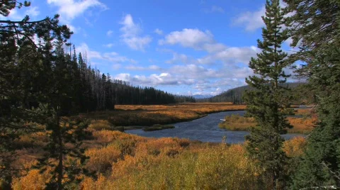 Stream in Yellowstone Zoom In Stock Footage 482756