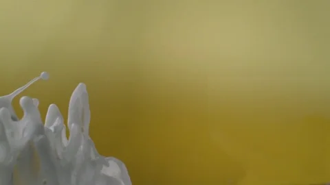   Stream of yogurt Stock Footage 81798634