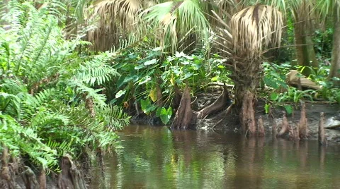 Stream Zoom Stock Footage 536706