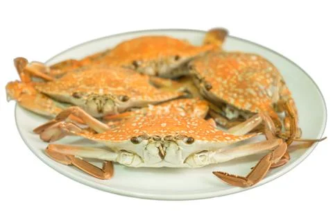 Streamed crab isolated on white background Stock Photos
