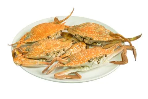 Streamed crab isolated on white background Stock Photos