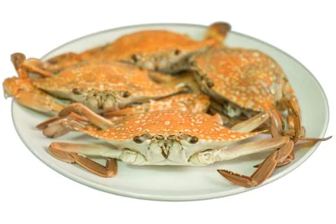 Streamed crab isolated on white background Stock Photos