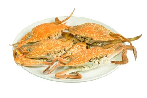 Streamed crab isolated on white background Stock Photos