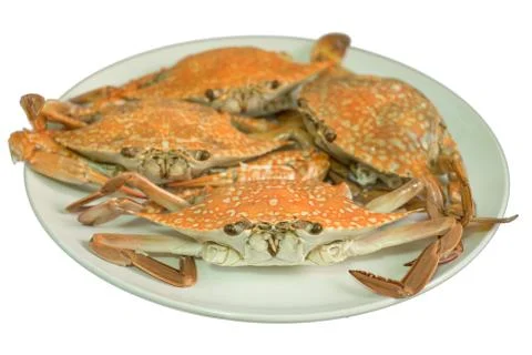 Streamed crab isolated on white background Stock Photos